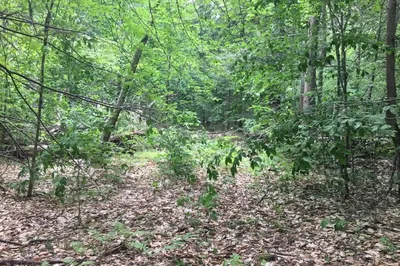 Lot 4 Bissell Rd 1