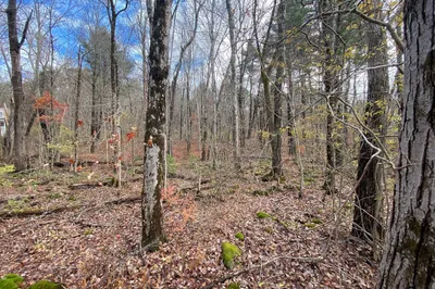 Lot 3 Washington Rd 1