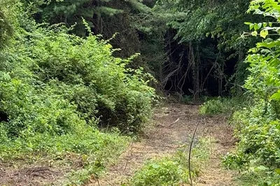 Lot 1 Rocky Meadow Street