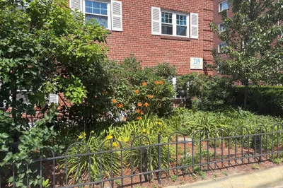 219 Massachusetts Ave #5 1